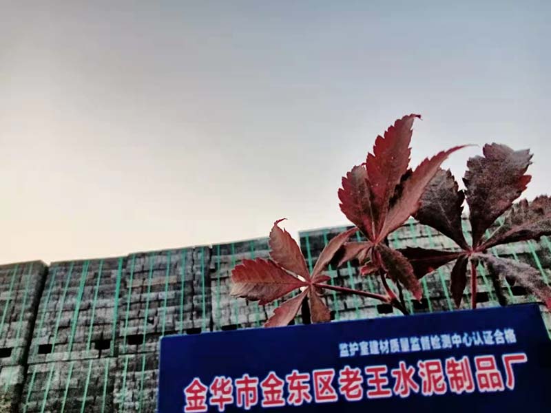 水泥多孔砖